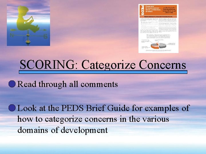 SCORING: Categorize Concerns Read through all comments Look at the PEDS Brief Guide for