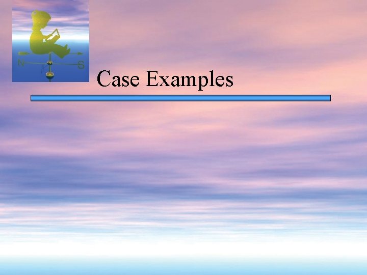 Case Examples 
