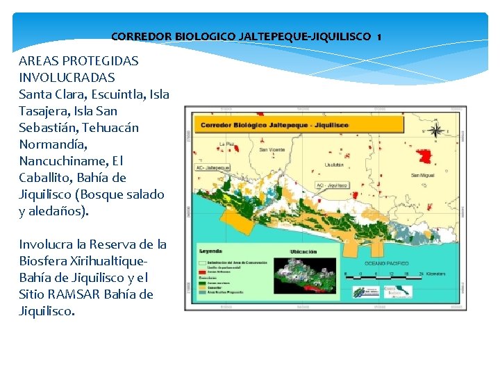 CORREDOR BIOLOGICO JALTEPEQUE-JIQUILISCO 1 AREAS PROTEGIDAS INVOLUCRADAS Santa Clara, Escuintla, Isla Tasajera, Isla San