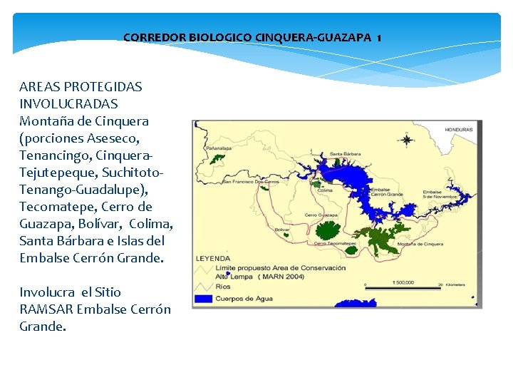 CORREDOR BIOLOGICO CINQUERA-GUAZAPA 1 AREAS PROTEGIDAS INVOLUCRADAS Montaña de Cinquera (porciones Aseseco, Tenancingo, Cinquera-