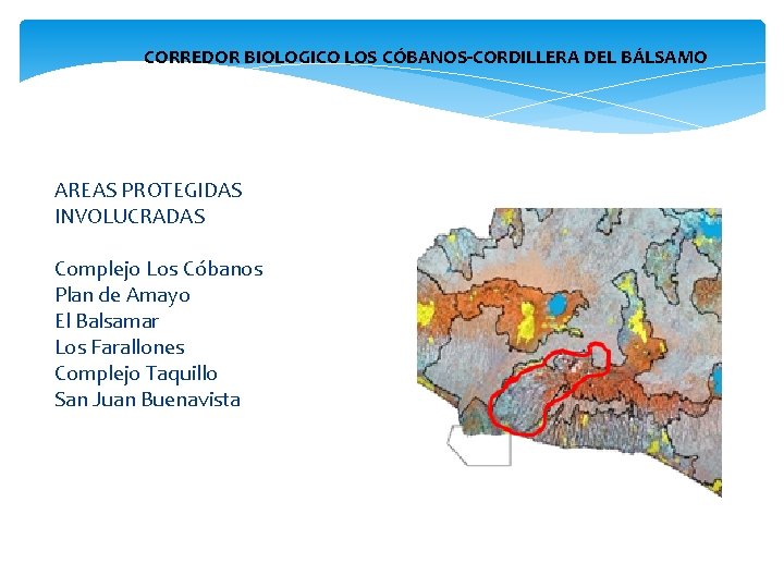 CORREDOR BIOLOGICO LOS CÓBANOS-CORDILLERA DEL BÁLSAMO AREAS PROTEGIDAS INVOLUCRADAS Complejo Los Cóbanos Plan de