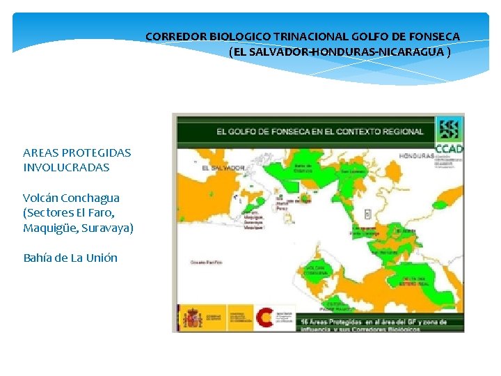  CORREDOR BIOLOGICO TRINACIONAL GOLFO DE FONSECA (EL SALVADOR-HONDURAS-NICARAGUA ) AREAS PROTEGIDAS INVOLUCRADAS Volcán