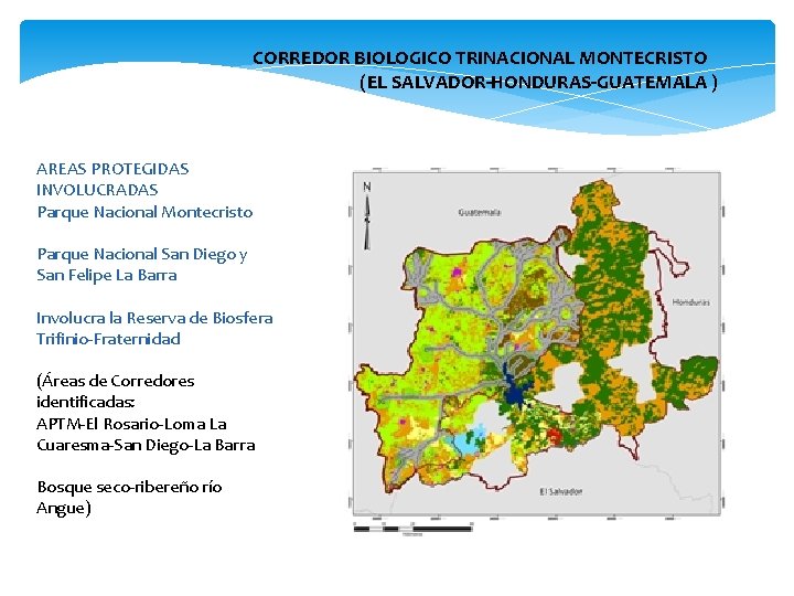  CORREDOR BIOLOGICO TRINACIONAL MONTECRISTO (EL SALVADOR-HONDURAS-GUATEMALA ) AREAS PROTEGIDAS INVOLUCRADAS Parque Nacional Montecristo