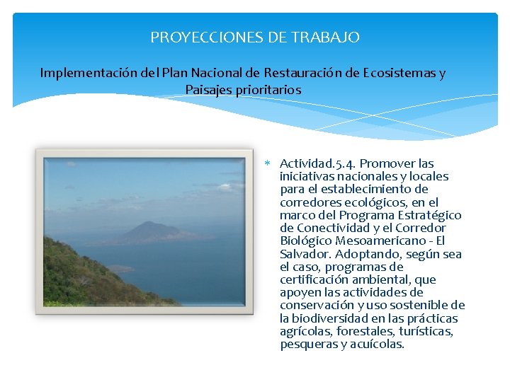 PROYECCIONES DE TRABAJO Implementación del Plan Nacional de Restauración de Ecosistemas y Paisajes prioritarios