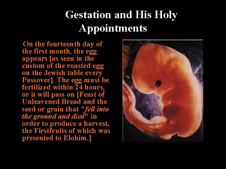  Gestation and His Holy Appointments On the fourteenth day of the first month,