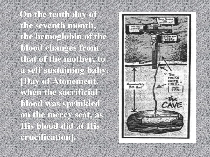  On the tenth day of the seventh month, the hemoglobin of the blood