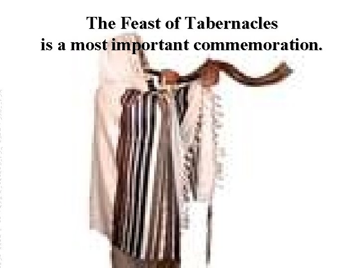  C h a n u k a h , l i k e