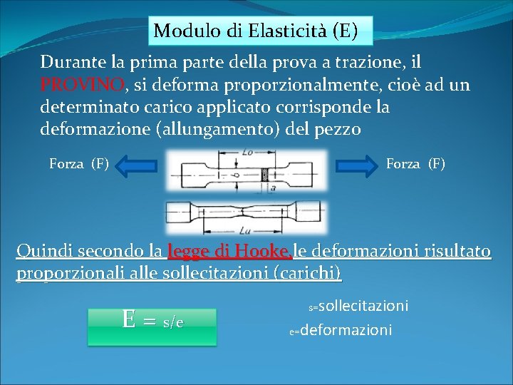 Modulo di Elasticità (E) Durante la prima parte della prova a trazione, il PROVINO,