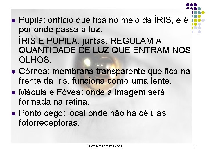 l l Pupila: orifício que fica no meio da ÍRIS, e é por onde