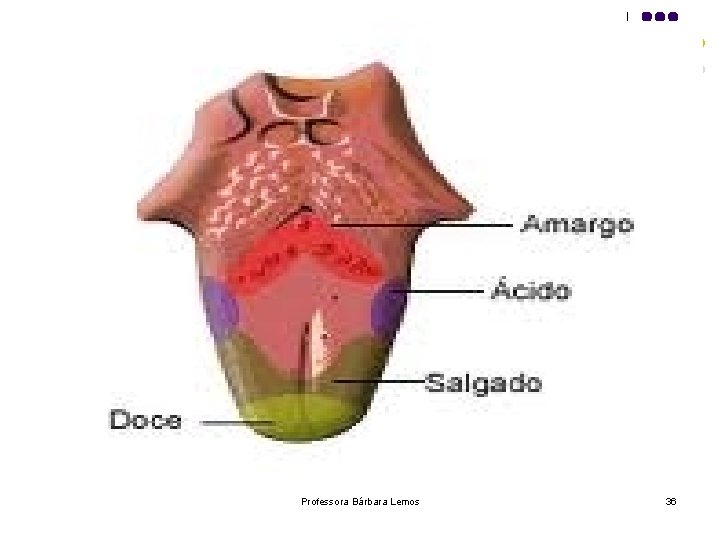 Professora Bárbara Lemos 36 