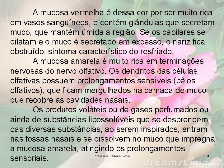 A mucosa vermelha é dessa cor por ser muito rica em vasos sangüíneos, e