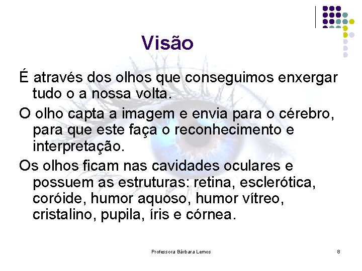 Visão É através dos olhos que conseguimos enxergar tudo o a nossa volta. O