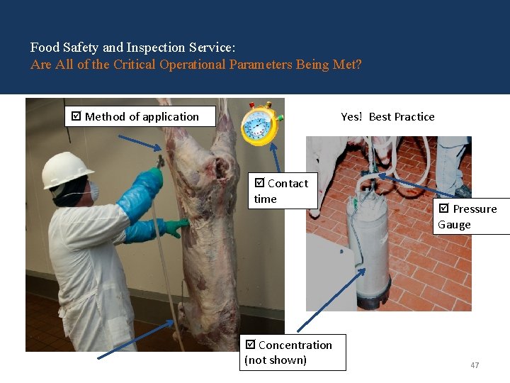 Food Safety and Inspection Service: Are All of the Critical Operational Parameters Being Met? Food Safety and Inspection Service: Are All of the Critical Operational Parameters Being Met?