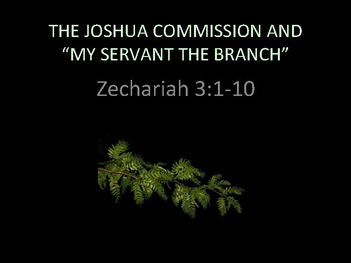 THE JOSHUA COMMISSION AND “MY SERVANT THE BRANCH” Zechariah 3: 1 -10 