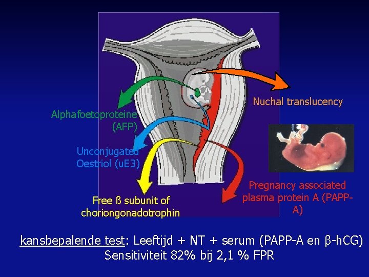 Nuchal translucency Alphafoetoproteine (AFP) Unconjugated Oestriol (u. E 3) Free ß subunit of choriongonadotrophin