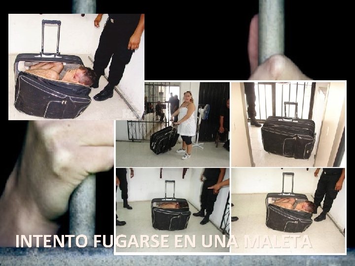 INTENTO FUGARSE EN UNA MALETA INTENTO FUGARSE EN UNA MALETA