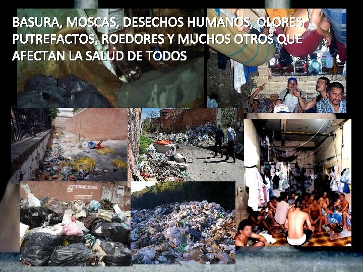 BASURA, MOSCAS, DESECHOS HUMANOS, OLORES PUTREFACTOS, ROEDORES Y MUCHOS OTROS QUE AFECTAN LA SALUD BASURA, MOSCAS, DESECHOS HUMANOS, OLORES PUTREFACTOS, ROEDORES Y MUCHOS OTROS QUE AFECTAN LA SALUD