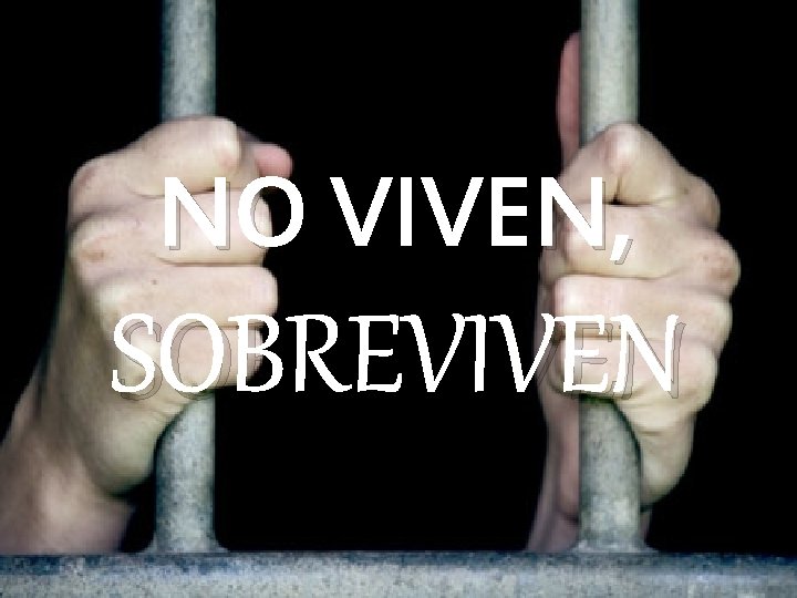 NO VIVEN, SOBREVIVEN NO VIVEN, SOBREVIVEN