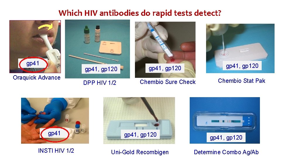 Which HIV antibodies do rapid tests detect? gp 41, gp 120 Oraquick Advance DPP