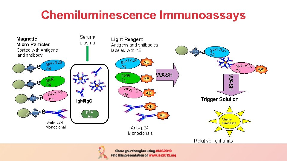 Chemiluminescence Immunoassays Magnetic Micro-Particles Serum/ plasma Coated with Antigens and antibody gp 41/120 Ag