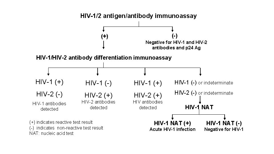 HIV-1/2 antigen/antibody immunoassay (-) (+) Negative for HIV-1 and HIV-2 antibodies and p 24