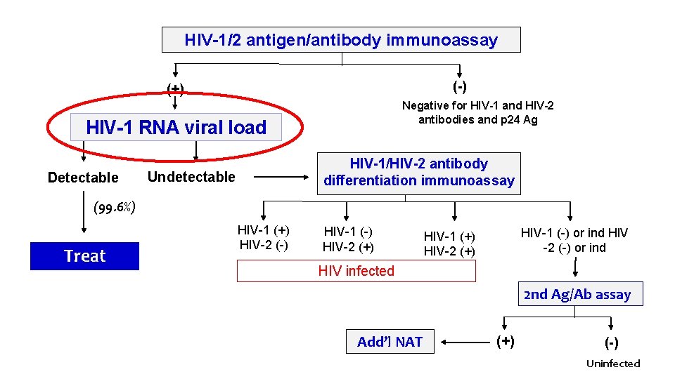 HIV-1/2 antigen/antibody immunoassay (-) (+) Negative for HIV-1 and HIV-2 antibodies and p 24