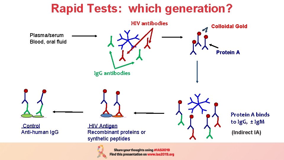 Rapid Tests: which generation? HIV antibodies Plasma/serum Blood, oral fluid Plasma/serum Colloidal Gold (1