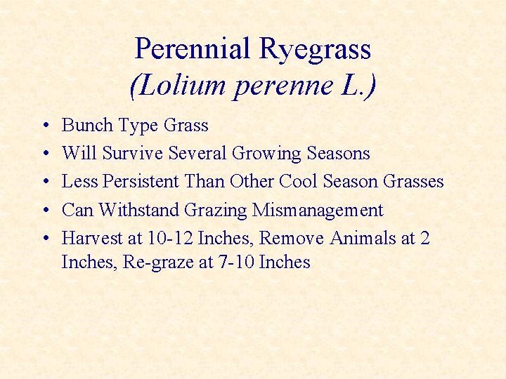 Perennial Ryegrass (Lolium perenne L. ) • • • Bunch Type Grass Will Survive