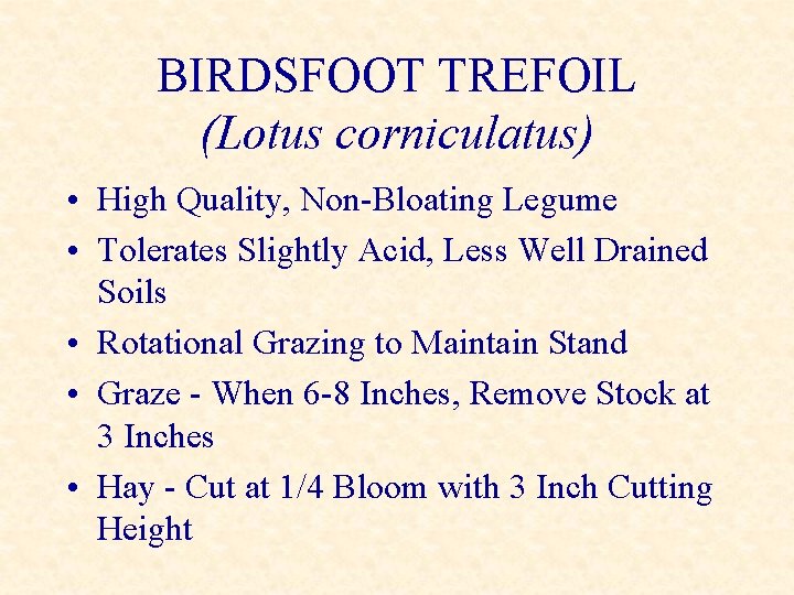 BIRDSFOOT TREFOIL (Lotus corniculatus) • High Quality, Non-Bloating Legume • Tolerates Slightly Acid, Less