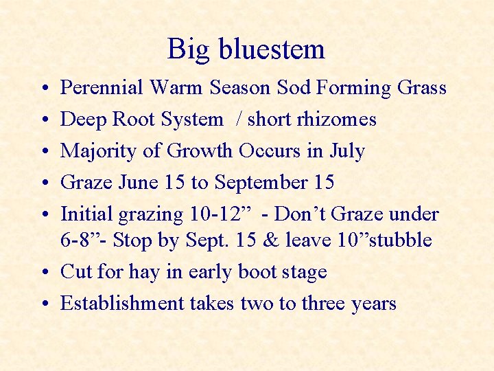 Big bluestem • • • Perennial Warm Season Sod Forming Grass Deep Root System