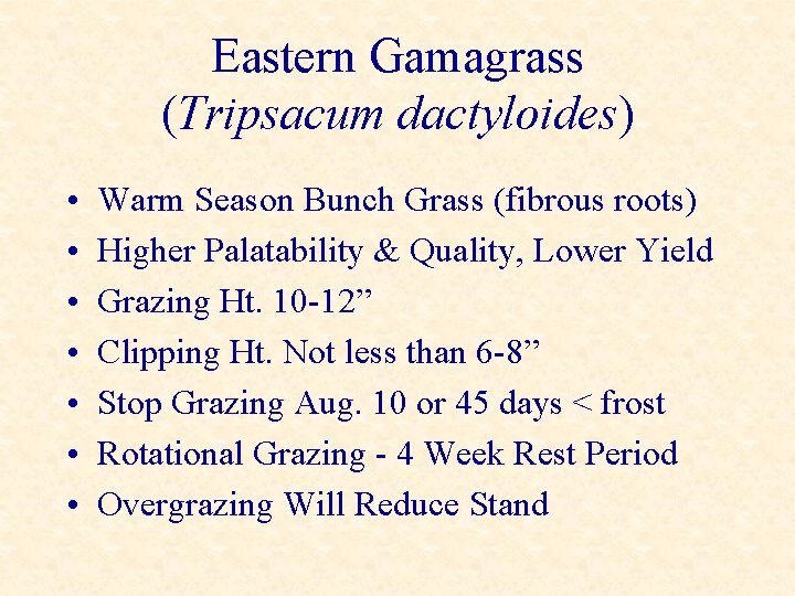 Eastern Gamagrass (Tripsacum dactyloides) • • Warm Season Bunch Grass (fibrous roots) Higher Palatability