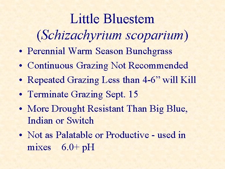 Little Bluestem (Schizachyrium scoparium) • • • Perennial Warm Season Bunchgrass Continuous Grazing Not