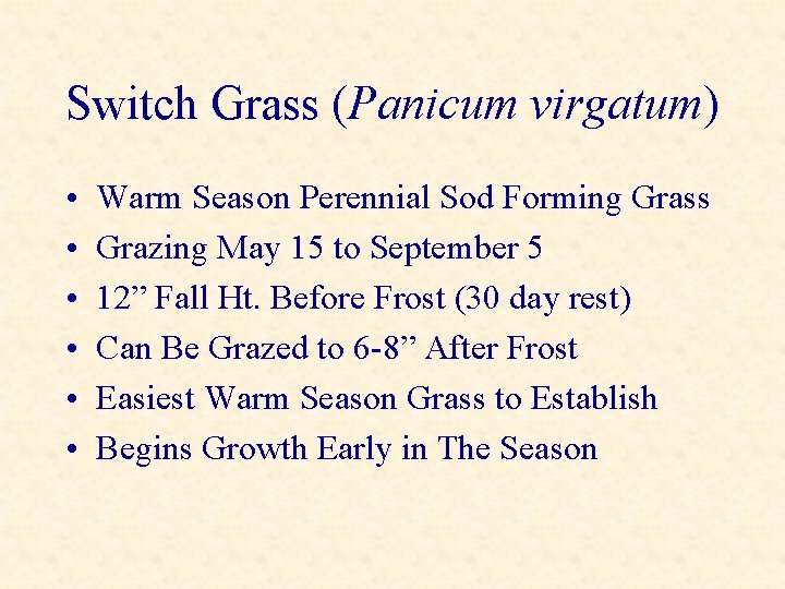 Switch Grass (Panicum virgatum) • • • Warm Season Perennial Sod Forming Grass Grazing
