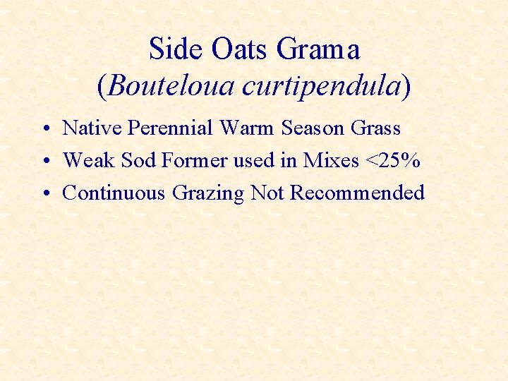 Side Oats Grama (Bouteloua curtipendula) • Native Perennial Warm Season Grass • Weak Sod
