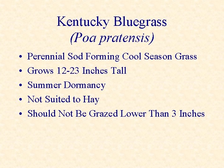 Kentucky Bluegrass (Poa pratensis) • • • Perennial Sod Forming Cool Season Grass Grows