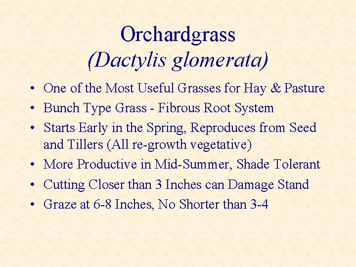 Orchardgrass (Dactylis glomerata) • One of the Most Useful Grasses for Hay & Pasture