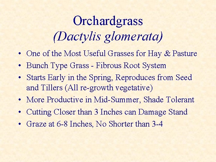 Orchardgrass (Dactylis glomerata) • One of the Most Useful Grasses for Hay & Pasture