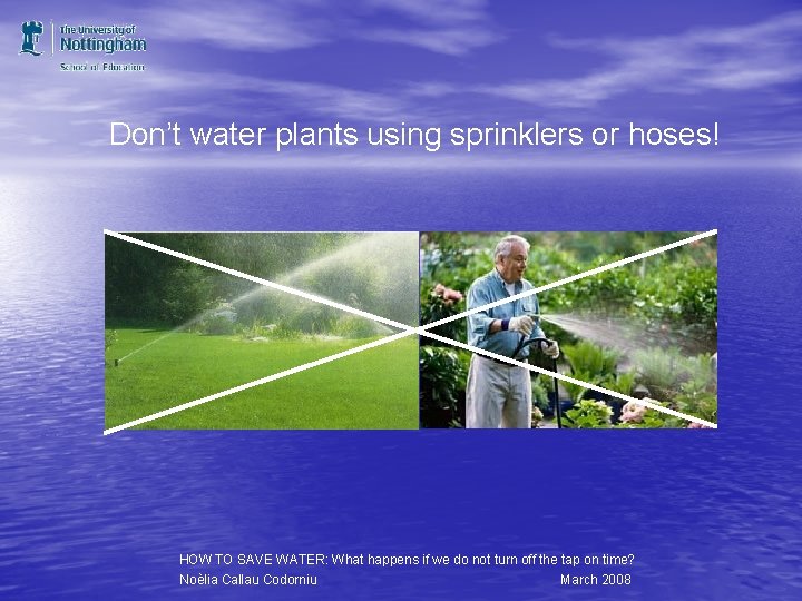 Don’t water plants using sprinklers or hoses! HOW TO SAVE WATER: What happens if