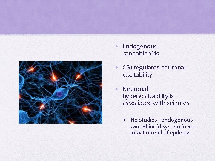  • Endogenous cannabinoids • CB 1 regulates neuronal excitability • Neuronal hyperexcitability is