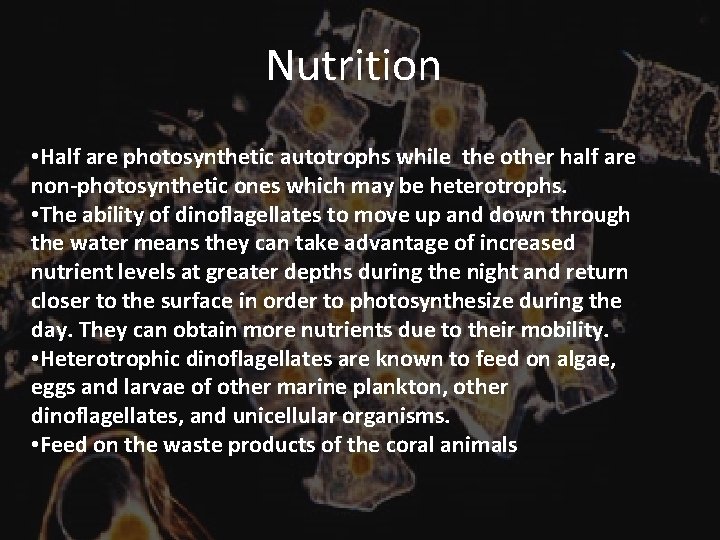Nutrition • Half are photosynthetic autotrophs while the other half are non-photosynthetic ones which Nutrition • Half are photosynthetic autotrophs while the other half are non-photosynthetic ones which
