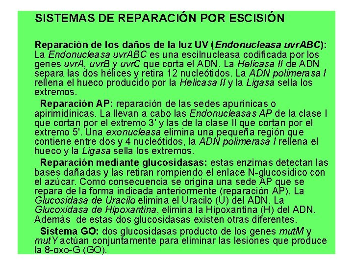 SISTEMAS DE REPARACIÓN POR ESCISIÓN Reparación de los daños de la luz UV (Endonucleasa