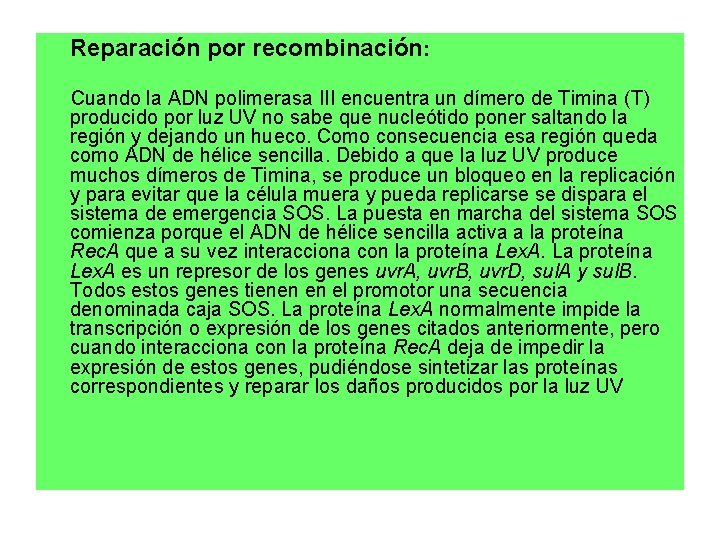 Reparación por recombinación: Cuando la ADN polimerasa III encuentra un dímero de Timina (T)