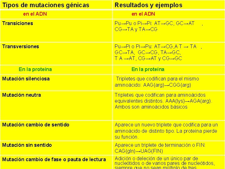 Tipos de mutaciones génicas en el ADN Resultados y ejemplos en el ADN Transiciones