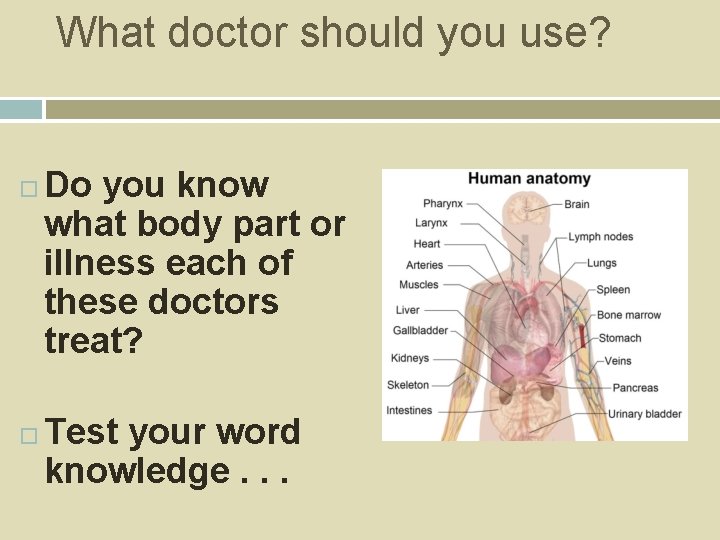 What doctor should you use? Do you know what body part or illness each