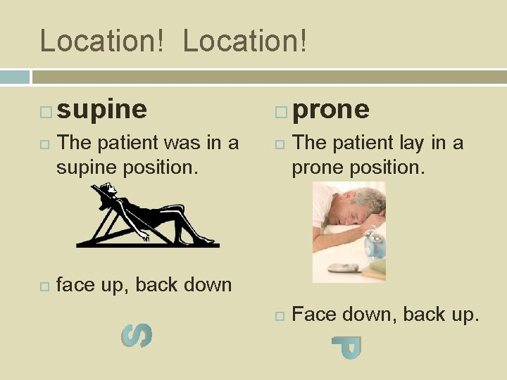 Location! supine The patient was in a supine position. prone The patient lay in