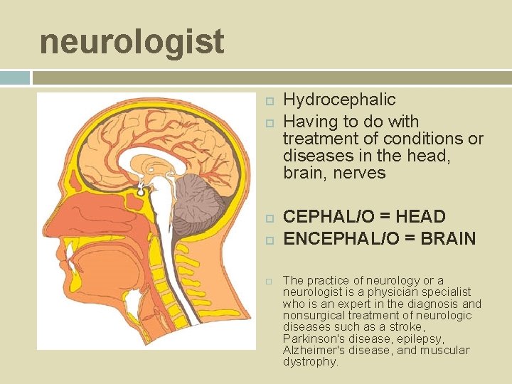 neurologist Hydrocephalic Having to do with treatment of conditions or diseases in the head,