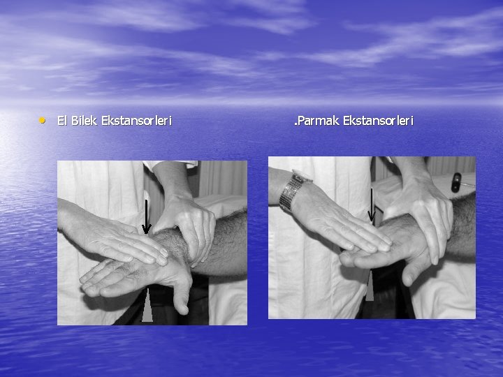  • El Bilek Ekstansorleri . Parmak Ekstansorleri 