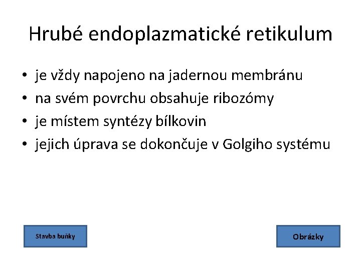 Hrubé endoplazmatické retikulum • • je vždy napojeno na jadernou membránu na svém povrchu