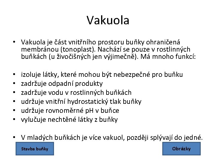 Vakuola • Vakuola je část vnitřního prostoru buňky ohraničená membránou (tonoplast). Nachází se pouze