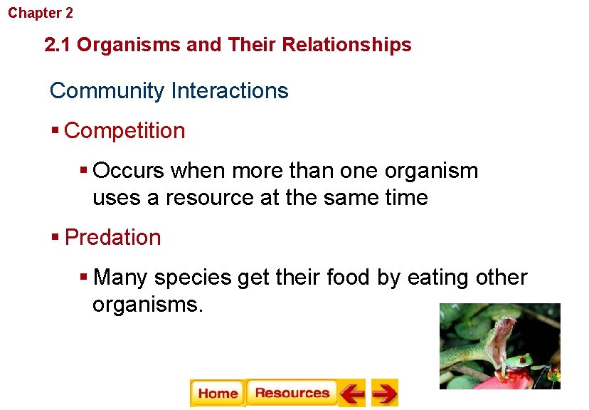 Chapter 2 Principles of Ecology 2. 1 Organisms and Their Relationships Community Interactions §